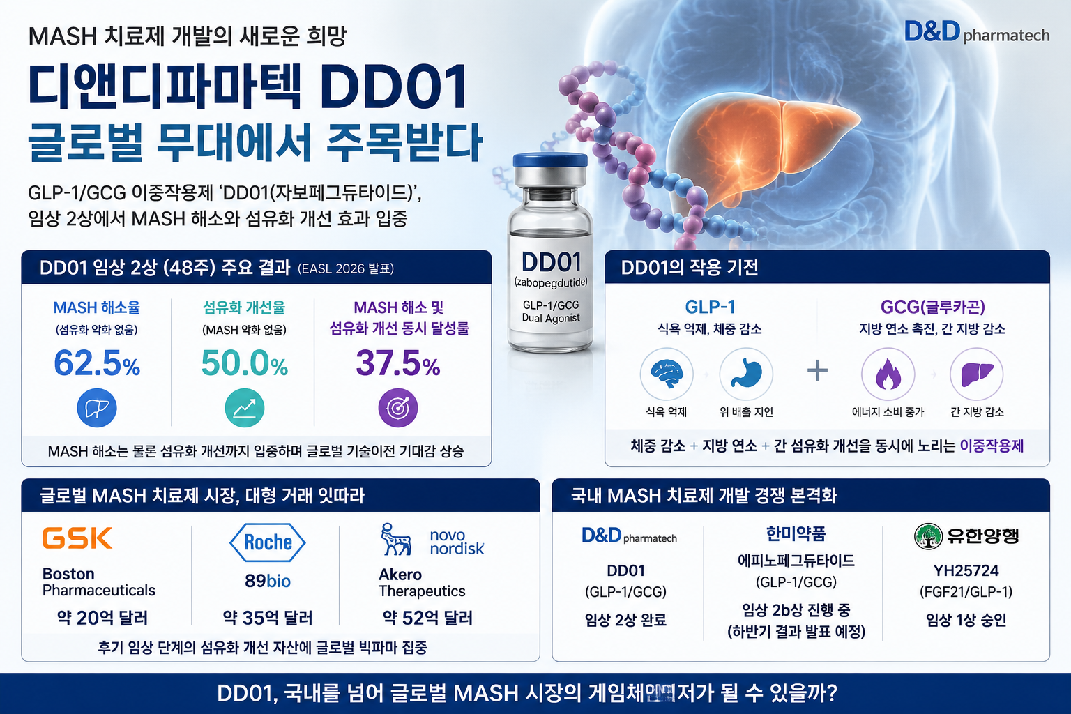 디앤디파마텍 DD01, MASH 시장 흔들었다… 다음은 수조원 기술수출?